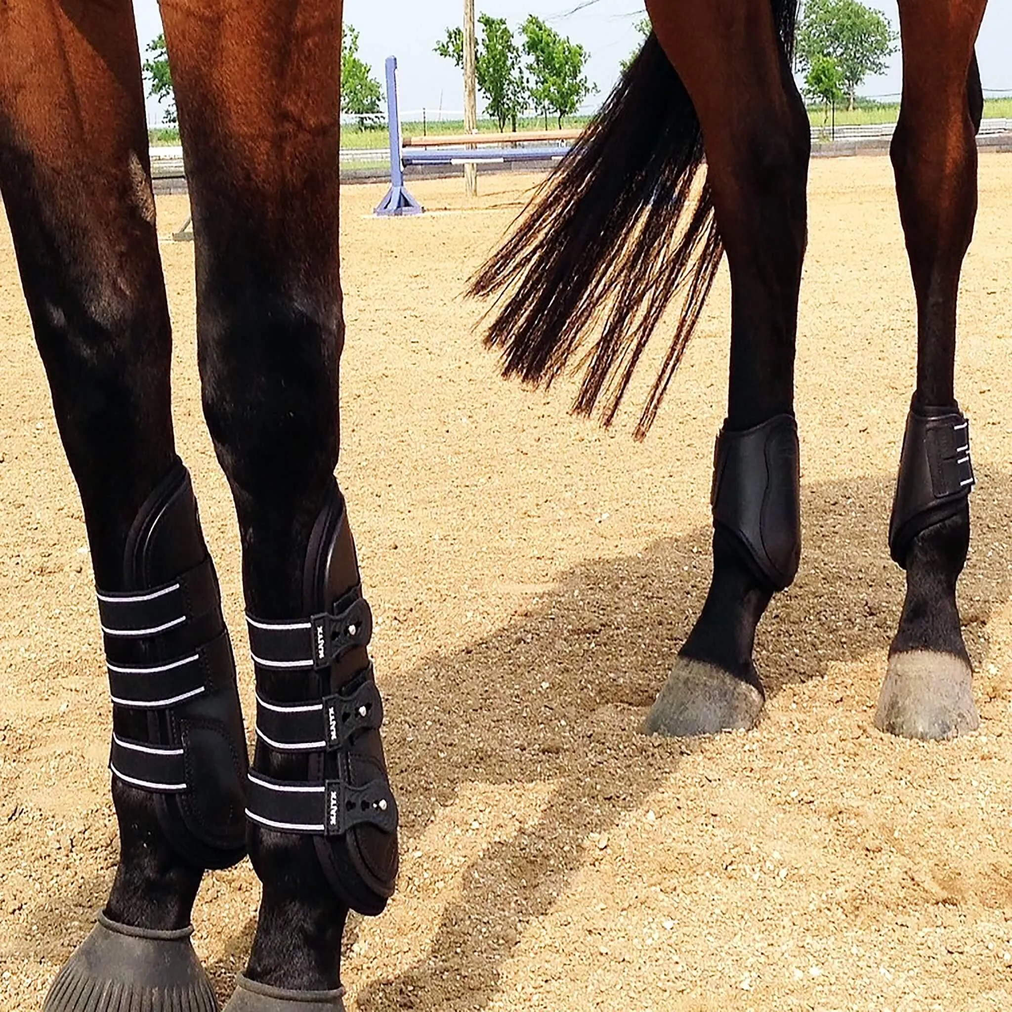 Boyd Martin Leather Hind Boot with Removable Liner