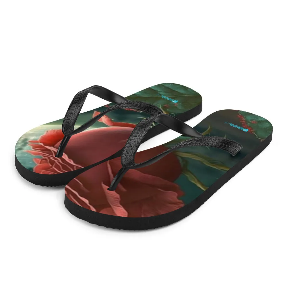 Flip-Flops