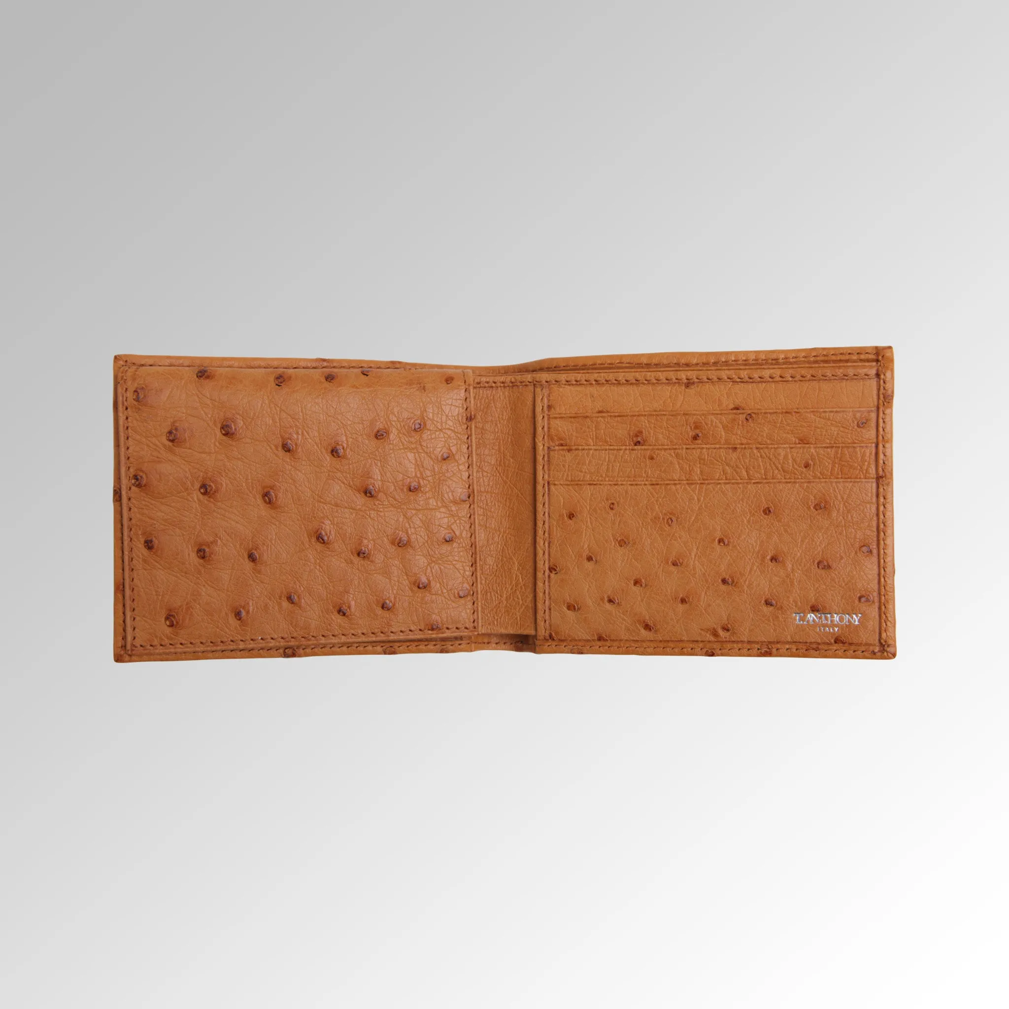 LIZARD FLIP ID WALLET