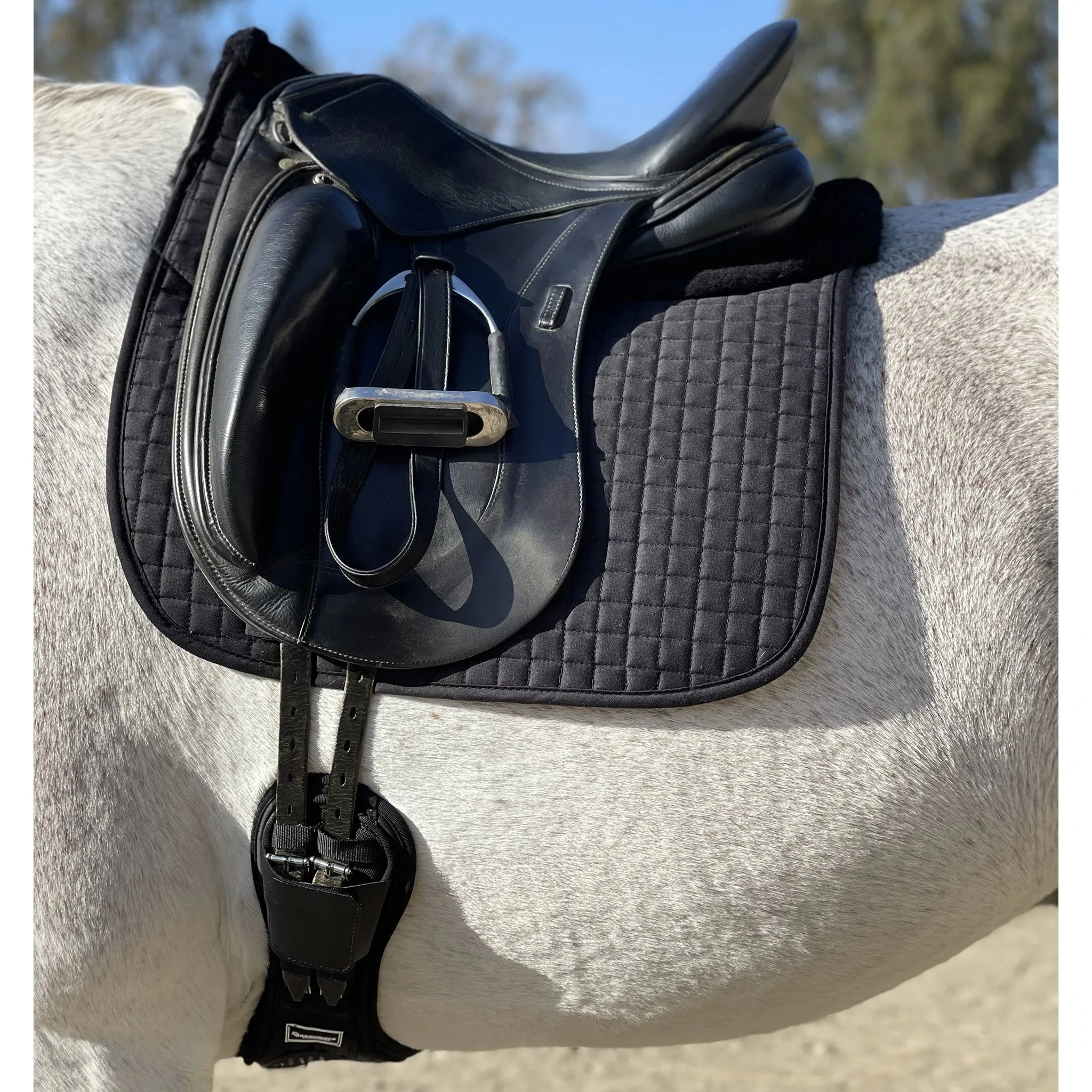 Shimmable Dressage Pad with Merino Wool